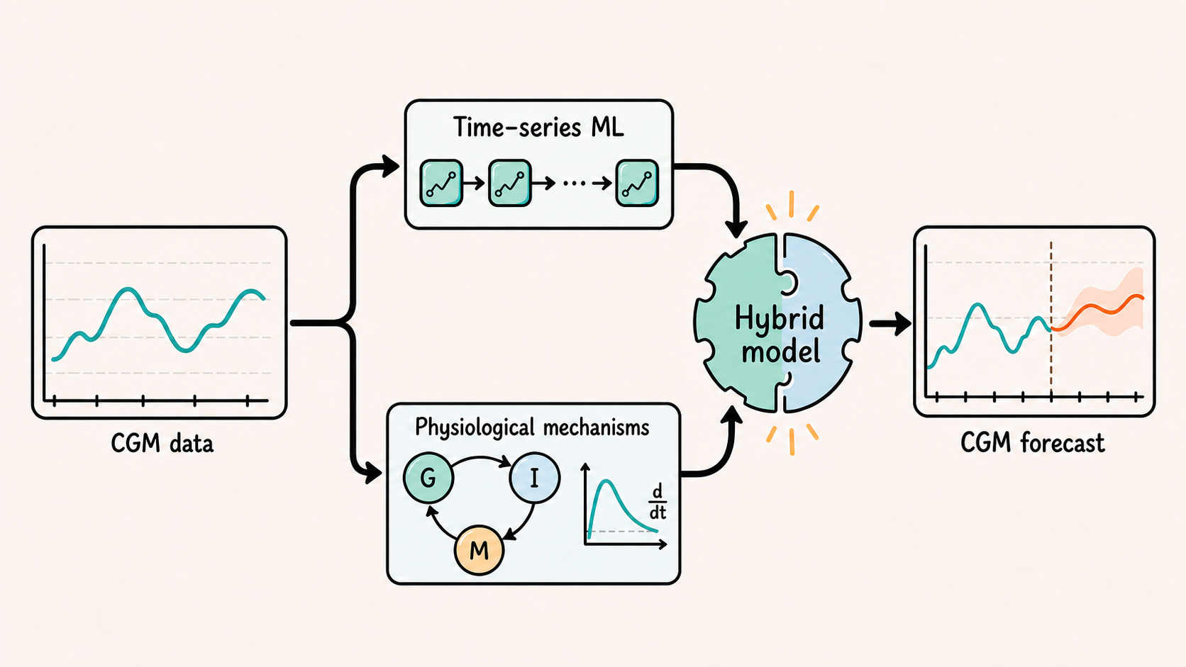 CGM data feed time-series learning and mechanistic glucose-insulin dynamics in a hybrid forecasting model.